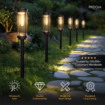 🎉Today's promotion: 60% Off ❤️Solar Pathway Lights with Automatic Dusk-to-Dawn Sensor and Waterproof Design