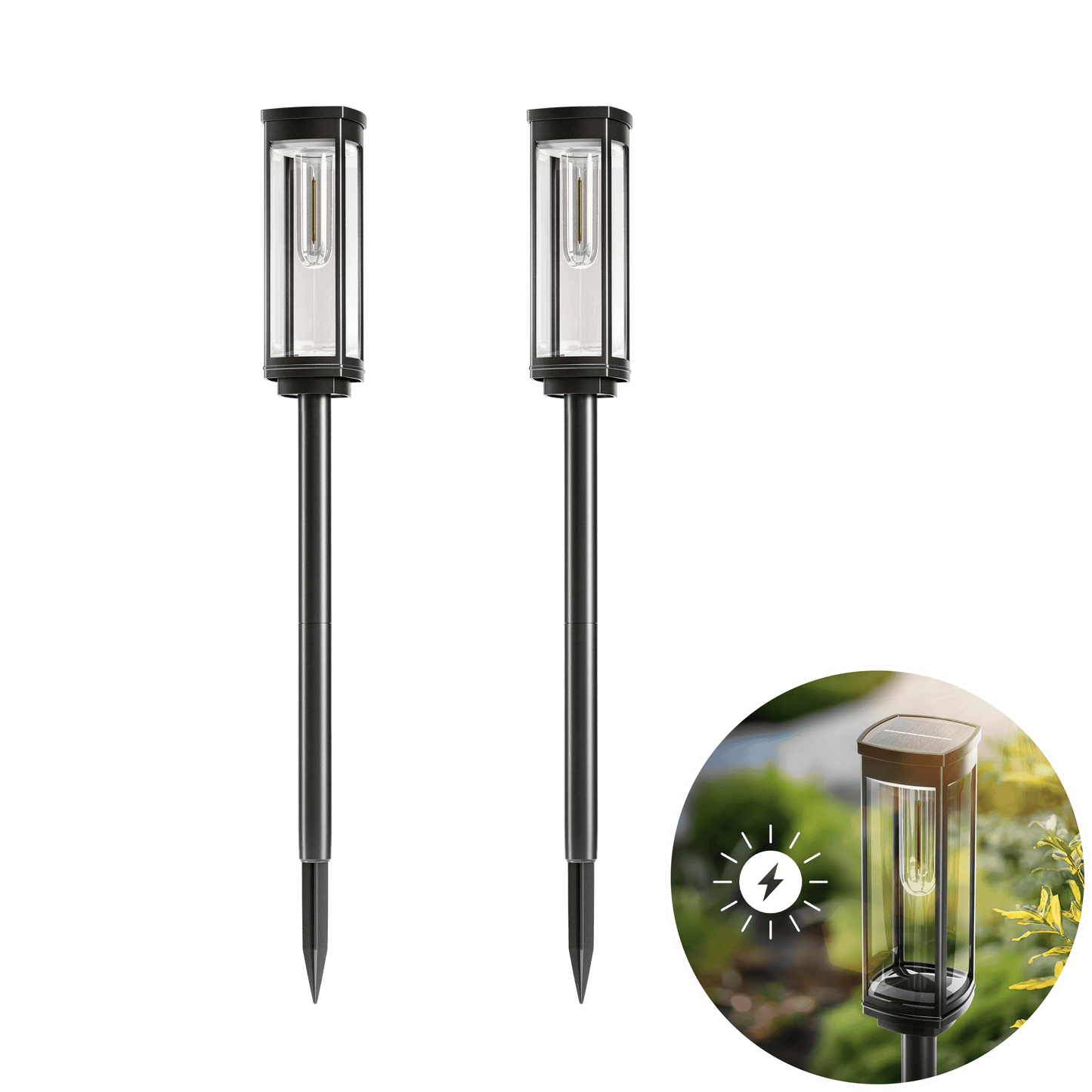 🎉Today's promotion: 60% Off ❤️Solar Pathway Lights with Automatic Dusk-to-Dawn Sensor and Waterproof Design